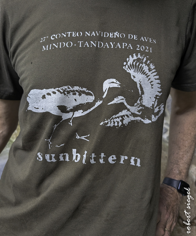 sunbittern